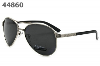 Cartier Sunglasses AAA (57)