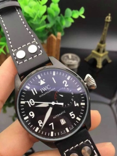 IWC watches (41)