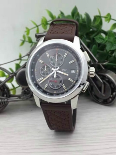 IWC watches (24)