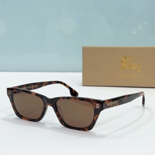 2023.5.31 Original Quality Burberry Sunglasses 012