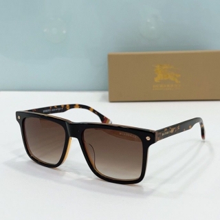 2023.5.31 Original Quality Burberry Sunglasses 031