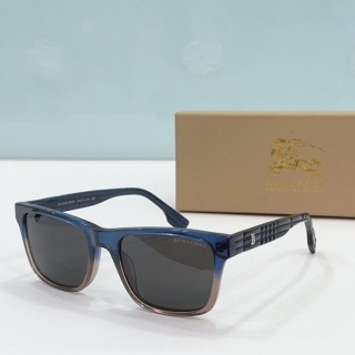 2023.5.31 Original Quality Burberry Sunglasses 024