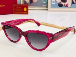 2023.6.7 Original Quality Cartier Sunglasses 048