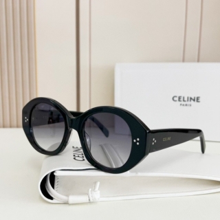 2023.6.7 Original Quality Celine Sunglasses 009
