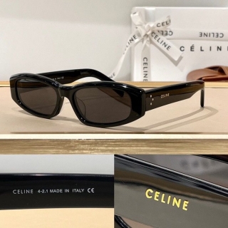 2023.6.7 Original Quality Celine Sunglasses 007