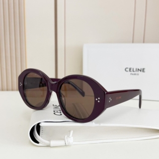 2023.6.7 Original Quality Celine Sunglasses 014