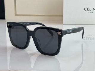 2023.6.7 Original Quality Celine Sunglasses 021