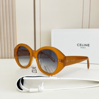 2023.6.7 Original Quality Celine Sunglasses 024