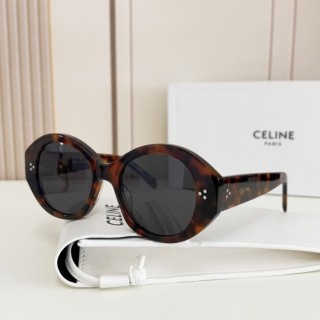 2023.6.7 Original Quality Celine Sunglasses 004
