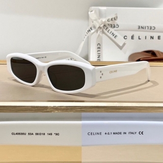 2023.6.7 Original Quality Celine Sunglasses 012