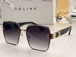 2023.6.7 Original Quality Celine Sunglasses 045