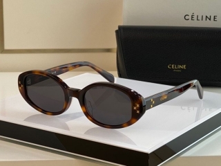 2023.6.7 Original Quality Celine Sunglasses 020