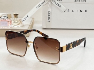 2023.6.7 Original Quality Celine Sunglasses 069
