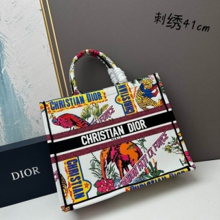 2023.6.12 Dior Bag 022