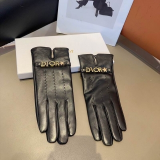 2023.12.25 Dior Gloves 007