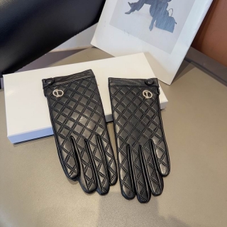 2024.01.12 Dior Gloves 009