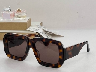 2024.01.31  Original Quality Loewe Sunglasses 733