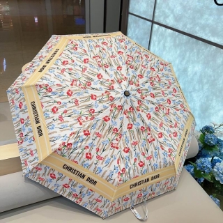2024.02.27 Dior Umbrella 016