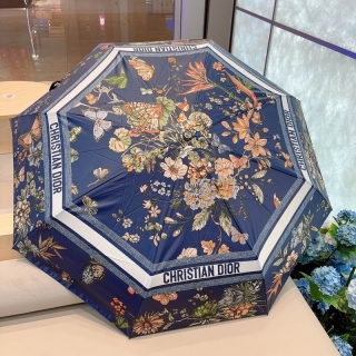 2024.04.08  Dior Umbrella 044