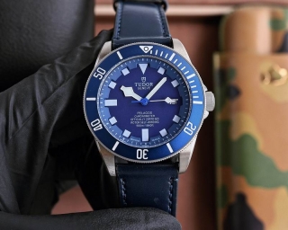 2024.04.19  Tudor Watch 42mm 025