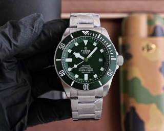 2024.04.19  Tudor Watch 42mm 022