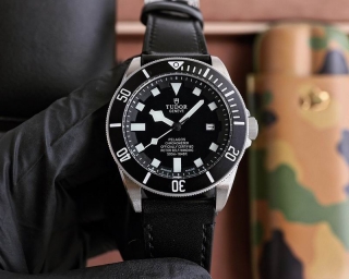 2024.04.19  Tudor Watch 42mm 024