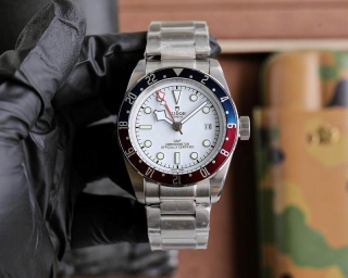 2024.04.19  Tudor Watch 42mm 019
