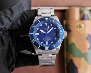 2024.04.19  Tudor Watch 42mm 021