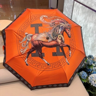 2024.04.19 Hermes Umbrella 069
