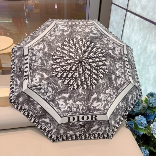 2024.04.19 Dior Umbrella 055