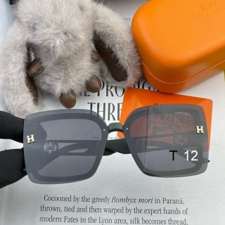 2024.04.24 Original Quality Hermes Sunglasses 348