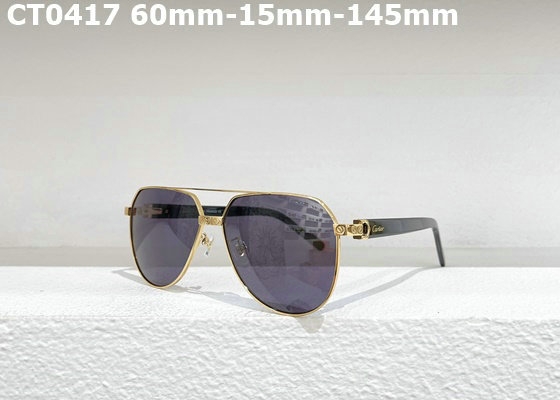 Cartier Sunglasses AAA (12)